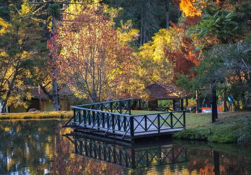 Horto Florestal lago