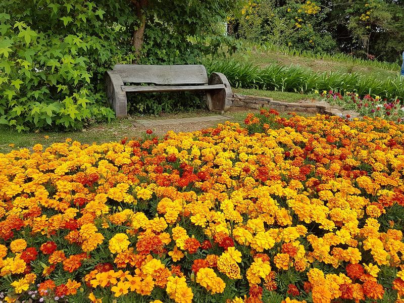 Jardins com flores
