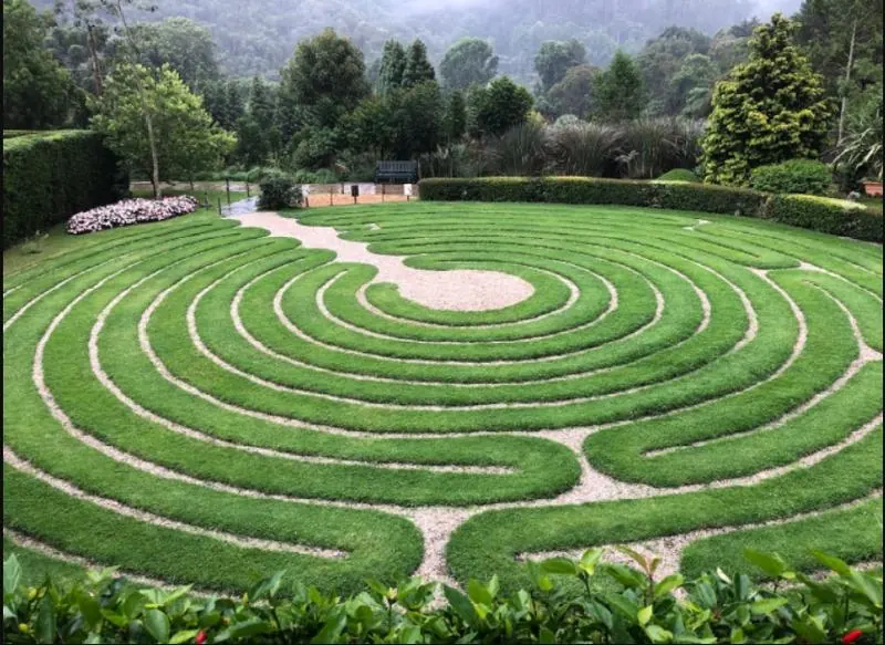 Labirinto circular