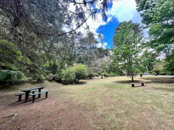 Horto Florestal (Parque Estadual) em Campos do Jordão – foto 2