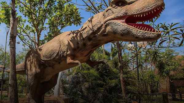 Terra dos Dinos em Campos do Jordão – foto 2