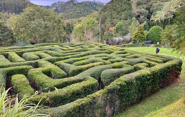 Amantikir em Campos do Jordão