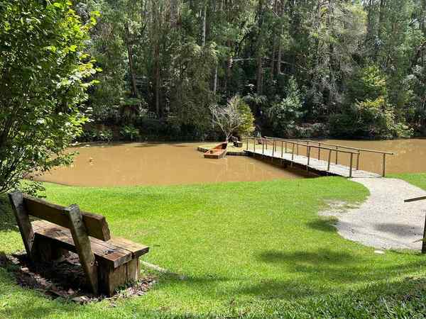 Bambuí em Campos do Jordão – foto 2