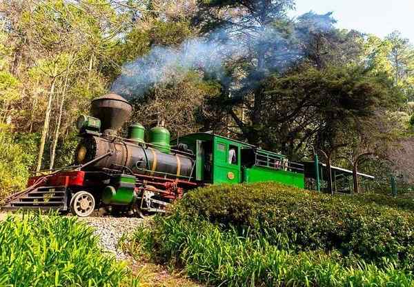 Bambuí em Campos do Jordão