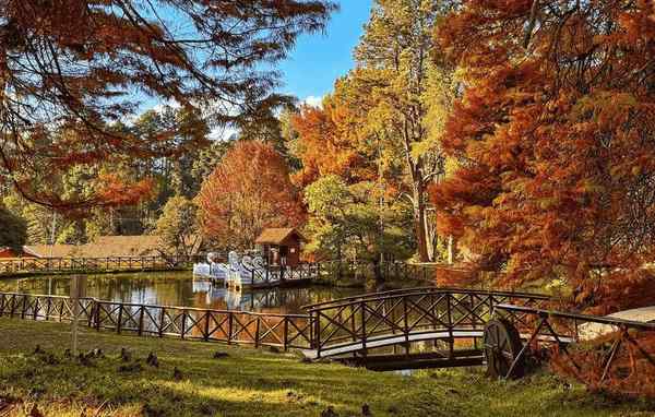 Horto Florestal (Parque Estadual) em Campos do Jordão