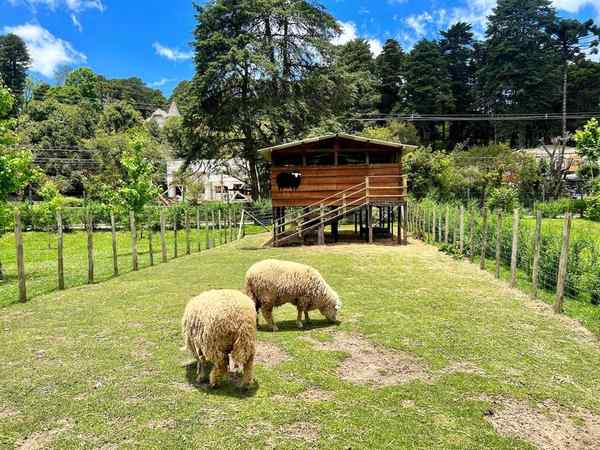 Parque da Lagoinha em Campos do Jordão – foto 3