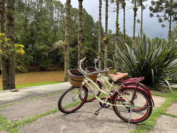 Bambuí em Campos do Jordão – foto 3