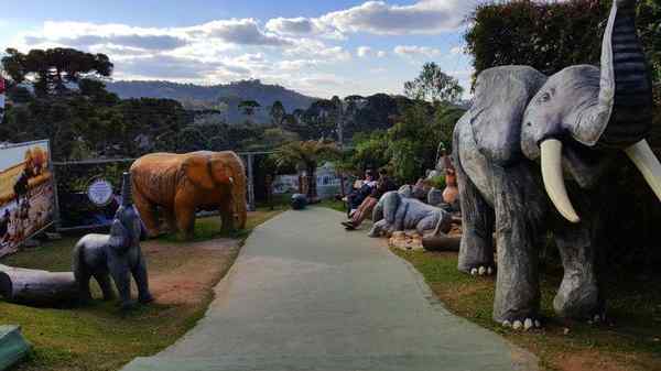 Parque dos Elefantes em Campos do Jordão – foto 3