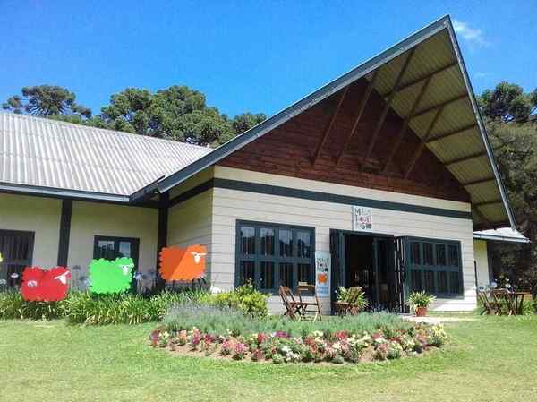 Mãostiqueira em Campos do Jordão